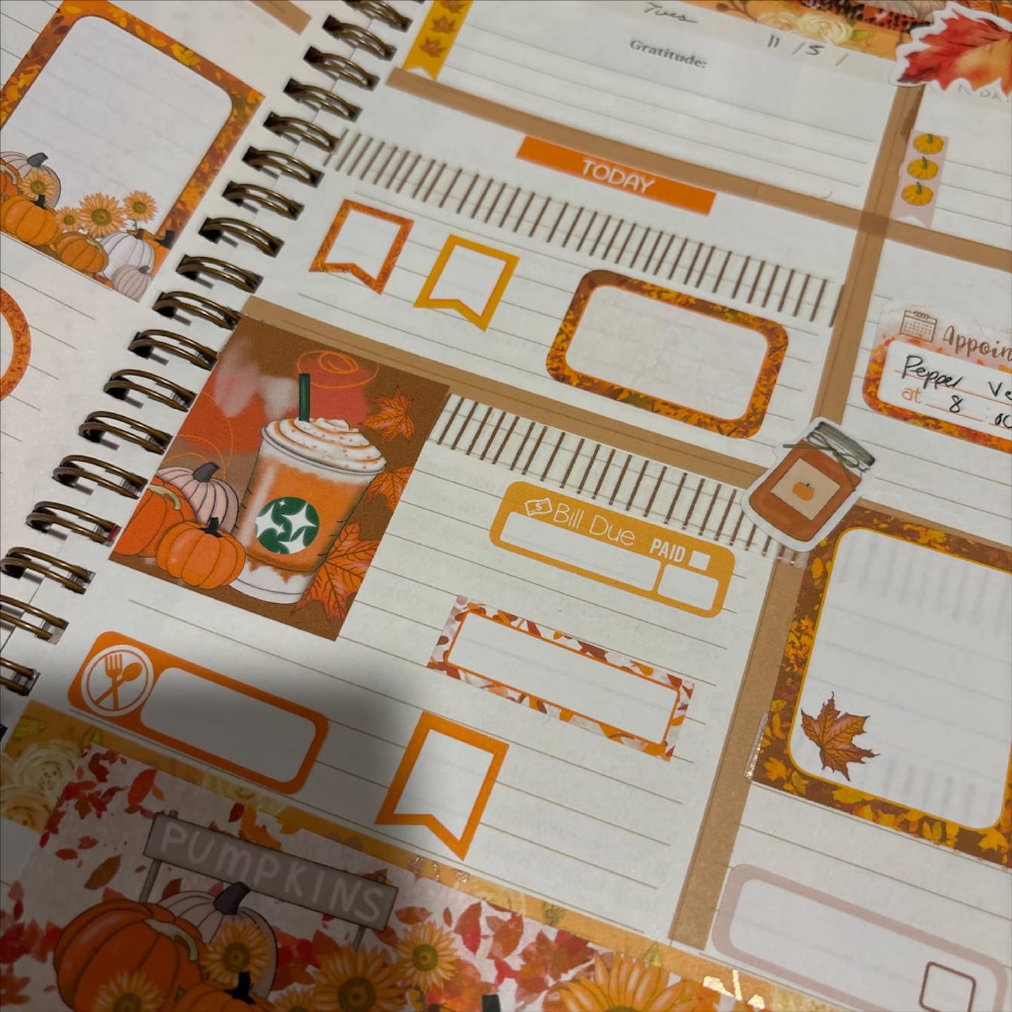 Customer photo review of Planner Sticker & Accessory Subscription (Our traditional box) #SUB001 - Sign up by the 20th to get the next box!