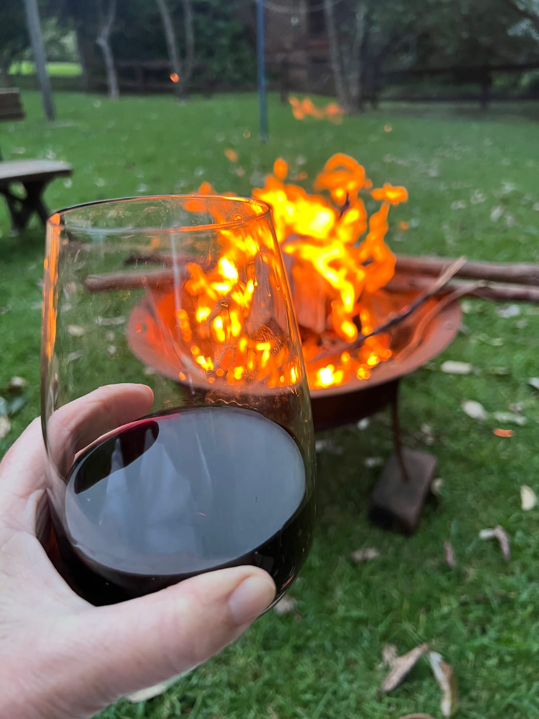 Customer photo review of Pinot Noir - Single Bottle
