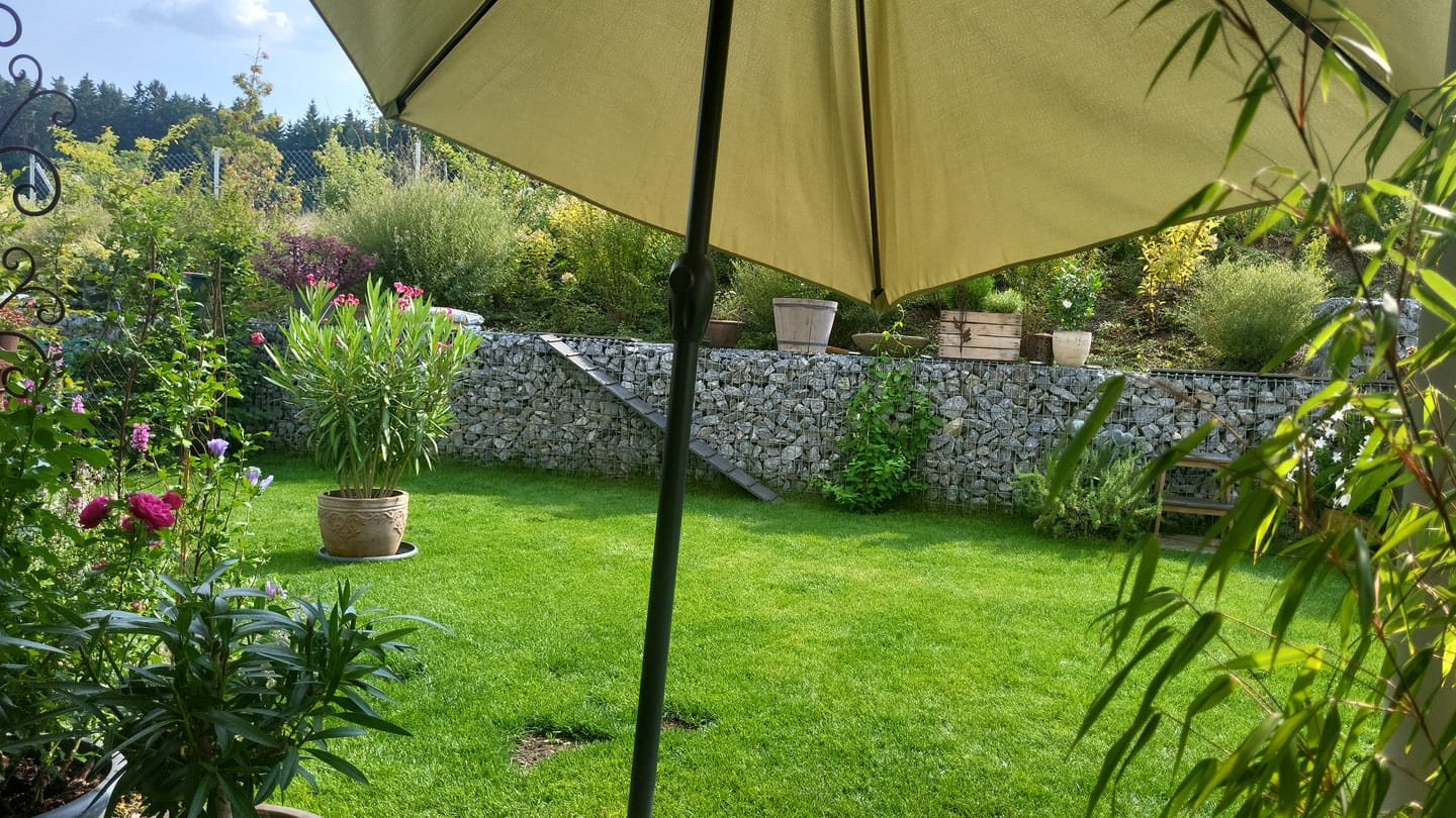 Customer photo review of Elmato Katzentreppe naturbelassen 1-4 Meter, verschiedene Größen