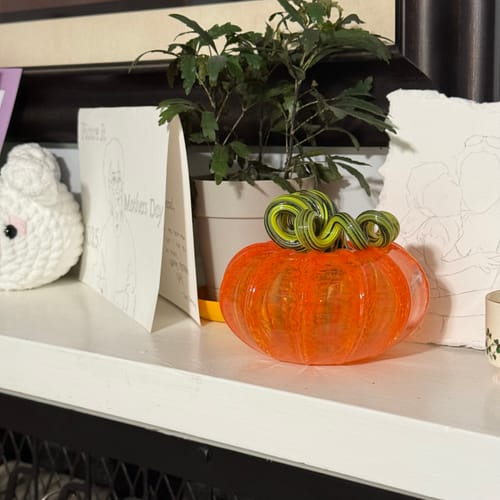 Customer photo review of Limited Edition Pumpkin of The Day “Carrot Squat”