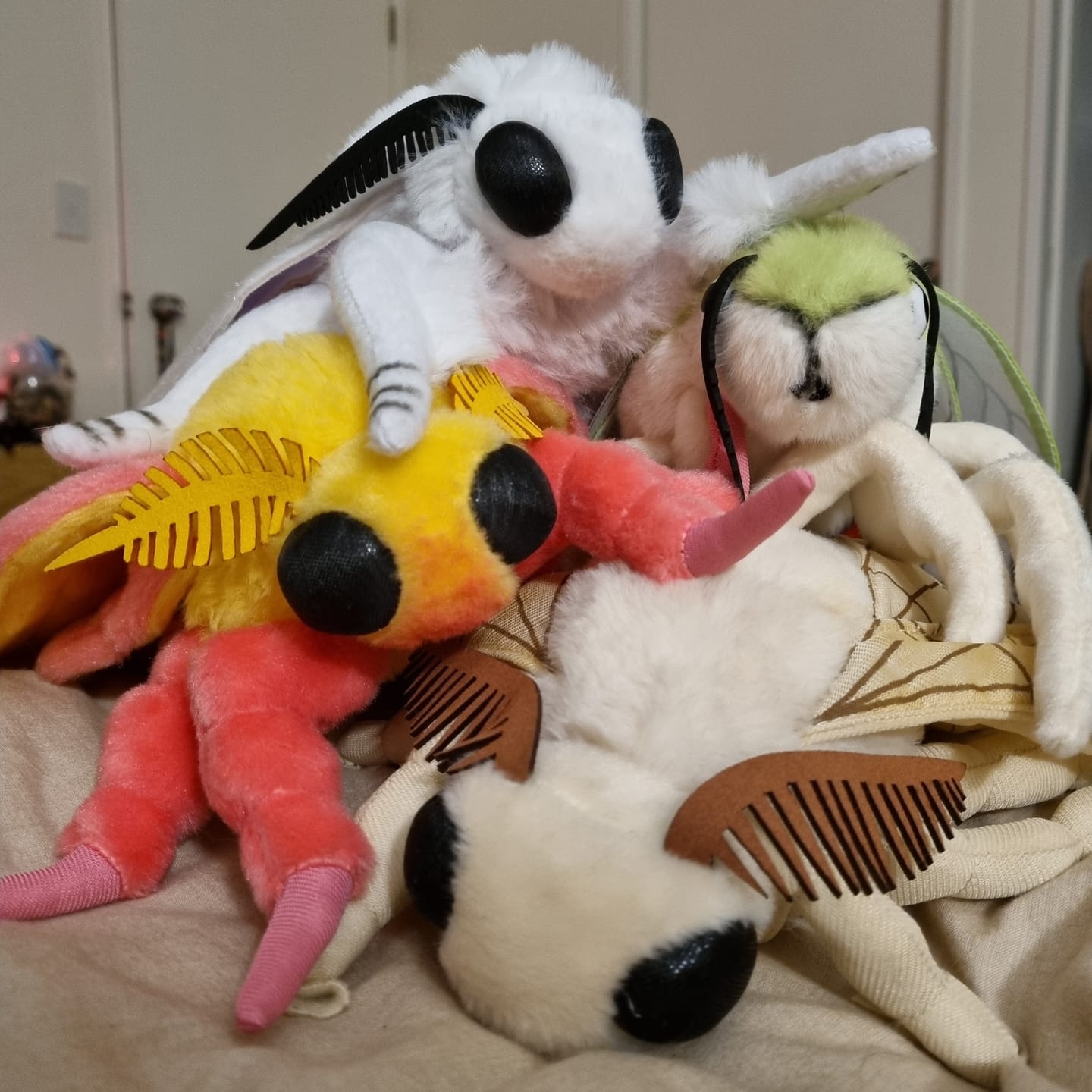 Customer photo review of Fall Webworm Moth Soft Stuffed Plush Toy