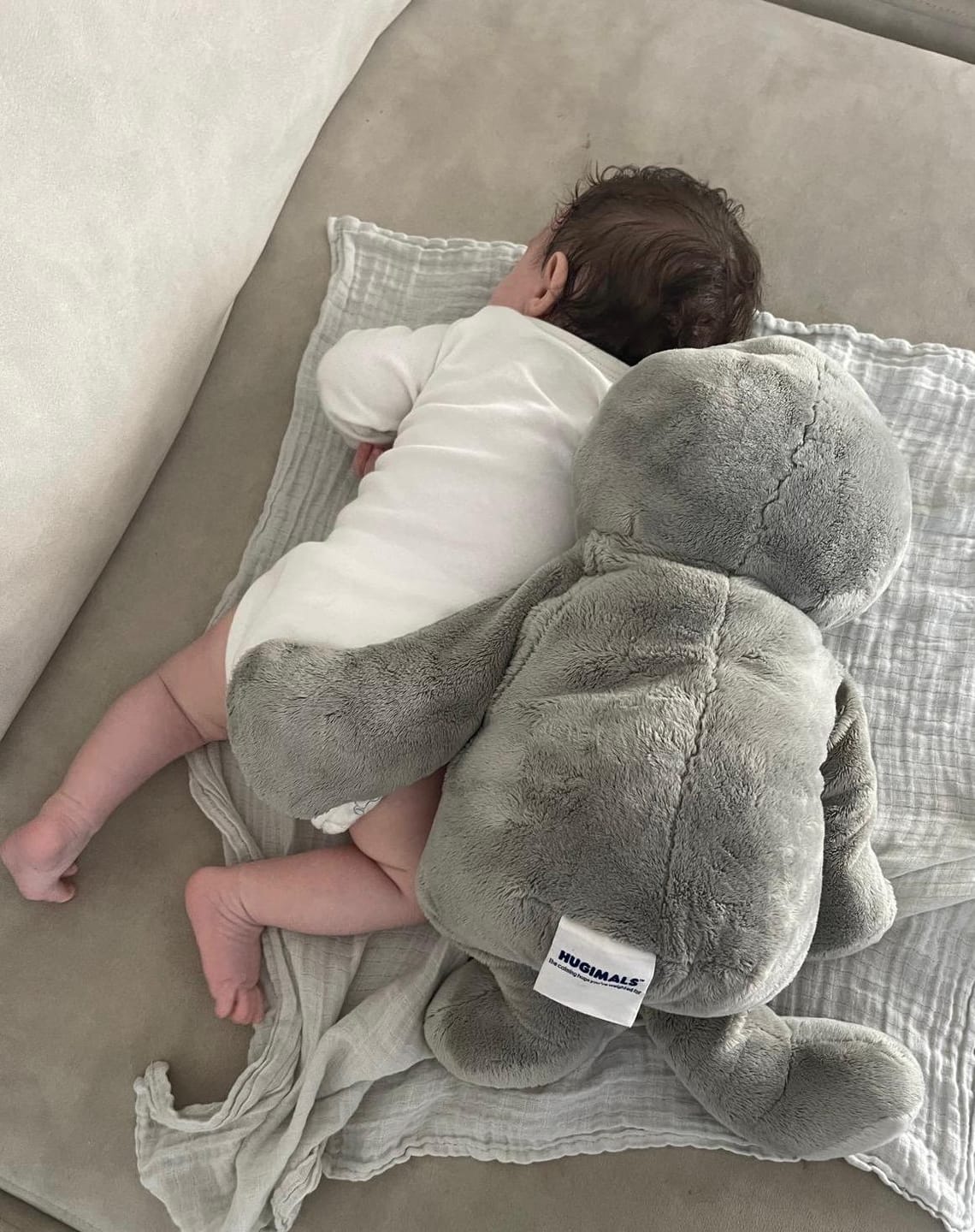Customer photo review of Hugarounds - Sidney the Sea Turtle