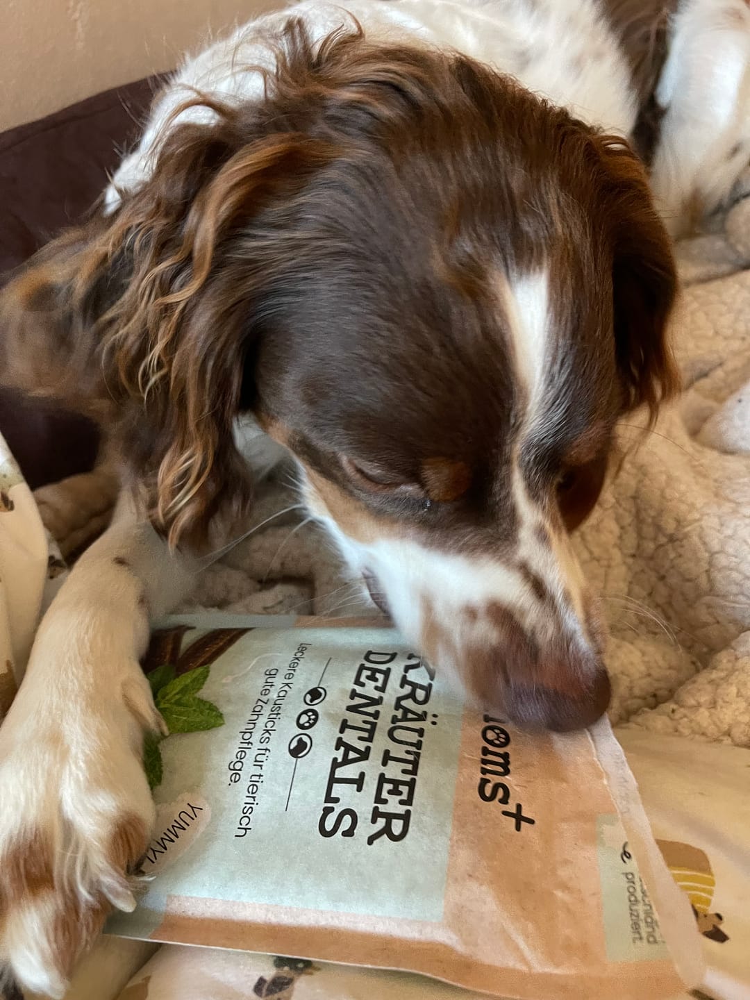 Customer photo review of Kräuter Dentals für Hunde zur Zahn- und Darmpflege (150g)