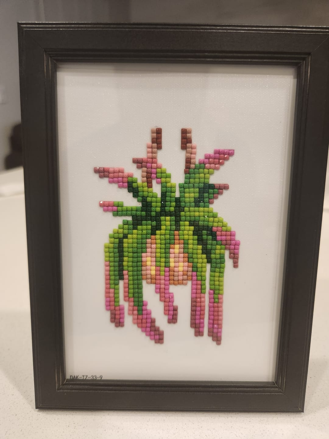 Customer photo review of Houseplants Set No. 1