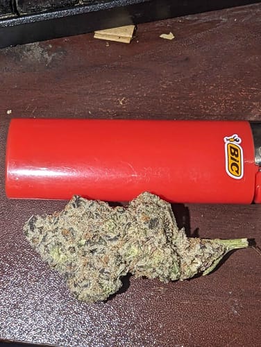 Customer photo review of Value Indoor Smalls