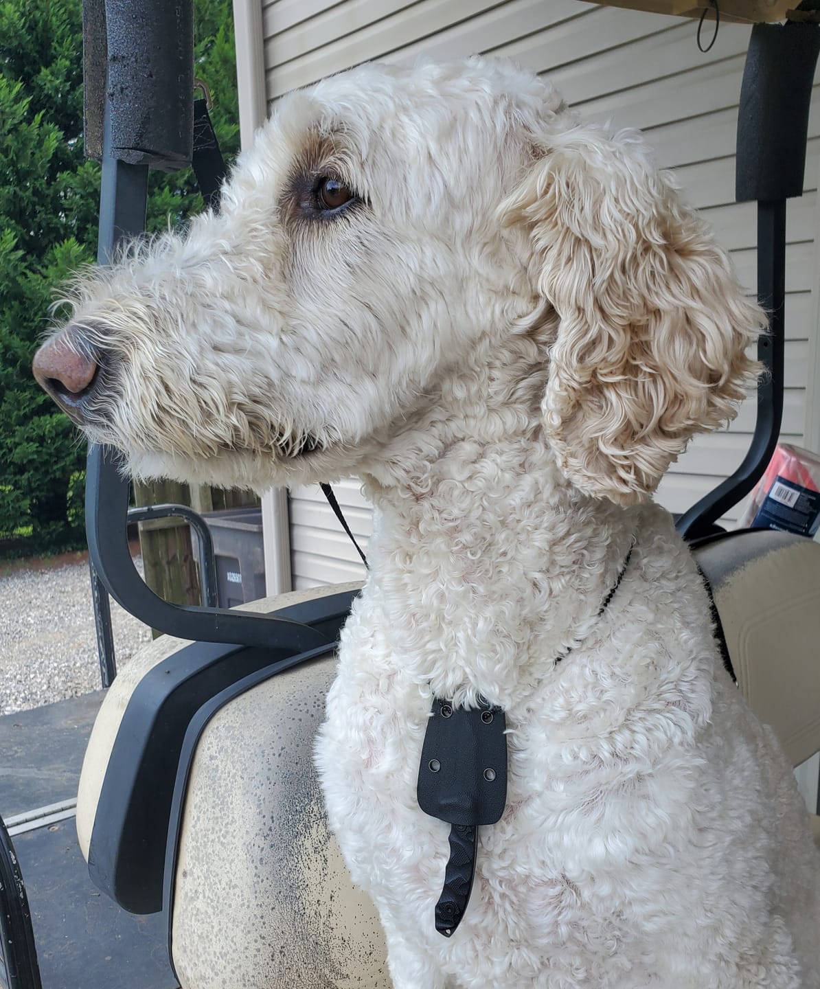 Customer photo review of The Mini