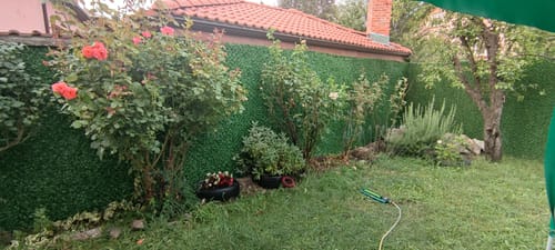 Customer photo review of Декоративна мрежа "Жив плет"