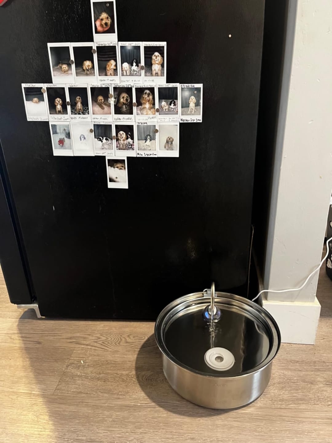 Customer photo review of Oneisall 7L Pet Water Fountain with Visual Water Level & 3 Filters