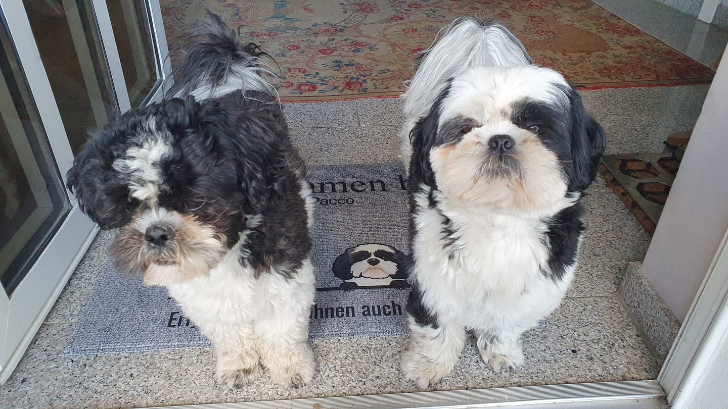 Customer photo review of Alle meine Fellnasen - Individuelle Fußmatte
