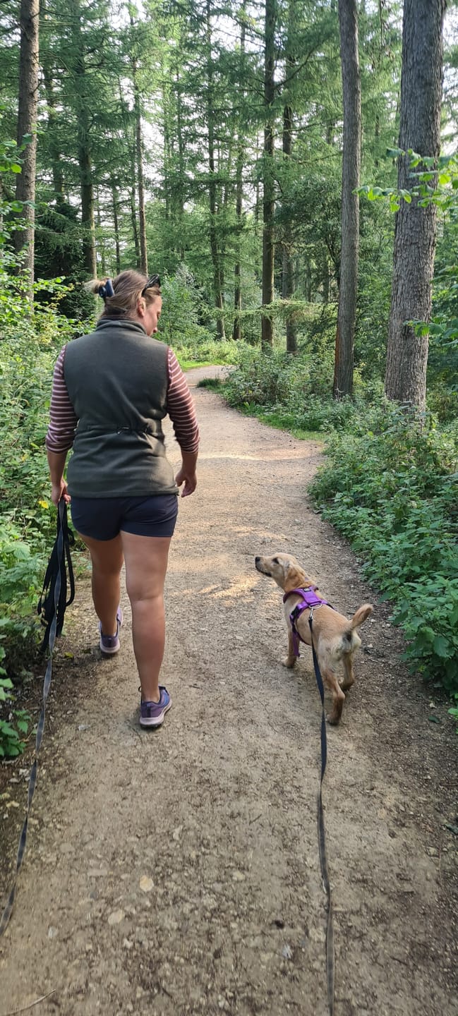 Customer photo review of Slip on Harness | Foam Padded - Purple