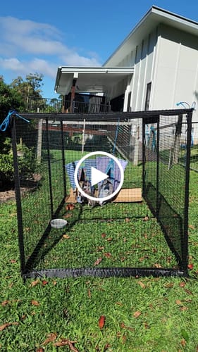 Customer video review of The Cat Cabana Cat Enclosure 2.2m
