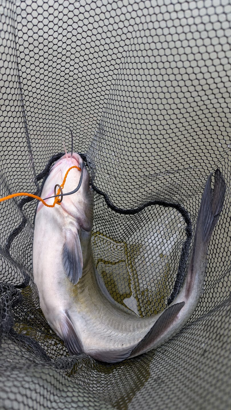 Customer photo review of Beyond Braid Floating Fishing Net with Handle