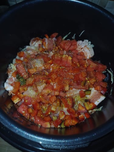 Customer photo review of Multicooker Novio EasyCook