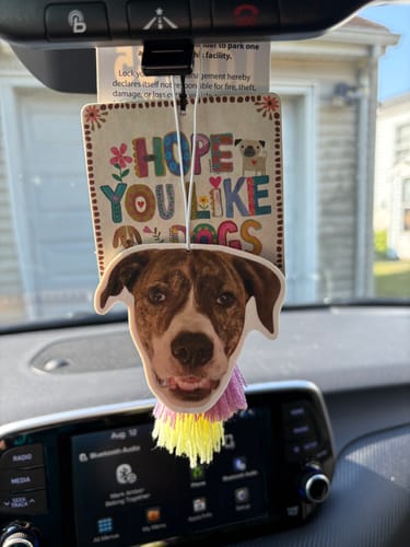 Customer photo review of Custom Air Freshener