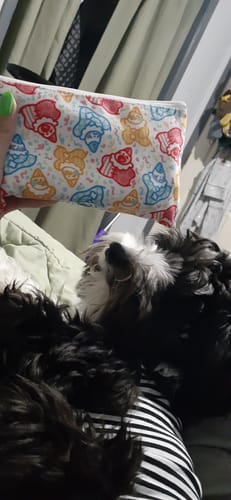 Customer photo review of Cute Lil Clowns Pencil Pouch