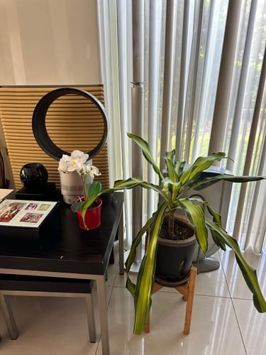 Customer photo review of Sleek Ultra