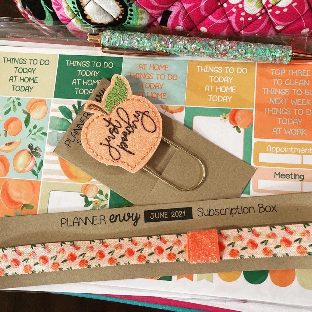 Customer photo review of Planner Sticker & Accessory Subscription + 2 Sets Washi/Month - #SUB003 - Sign up by the 20th to get the next box!