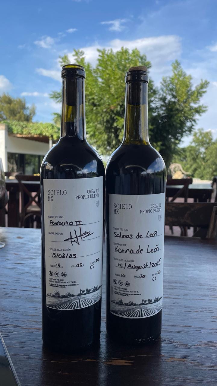Customer photo review of Crea Tu Vino