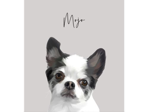 Customer photo review of Detailed Pet Portrait