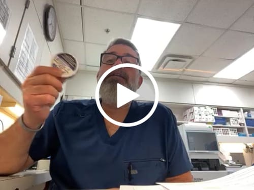 Customer video review of Chilled Mint Nicotine Pouches