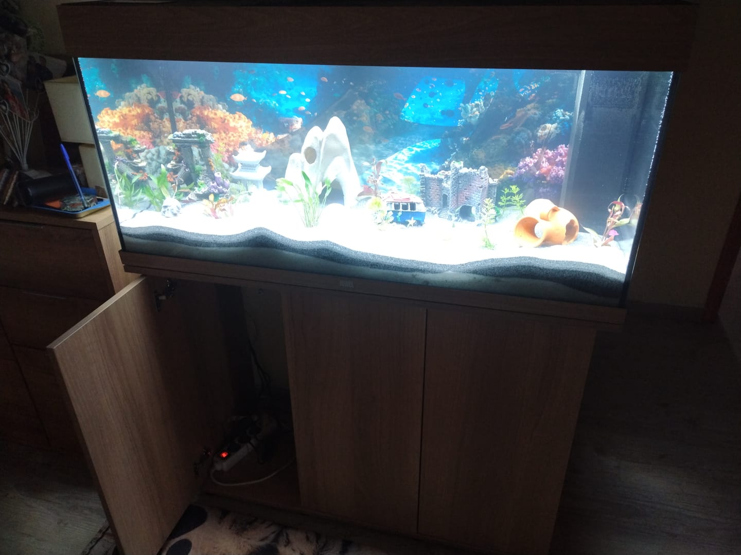 Customer photo review of Aquarium Rio 180 LED Chêne Équipé JUWEL - 180L