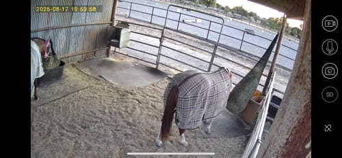 Customer photo review of Hay Chix® 3-Strand Bale Net (West Coast Net)