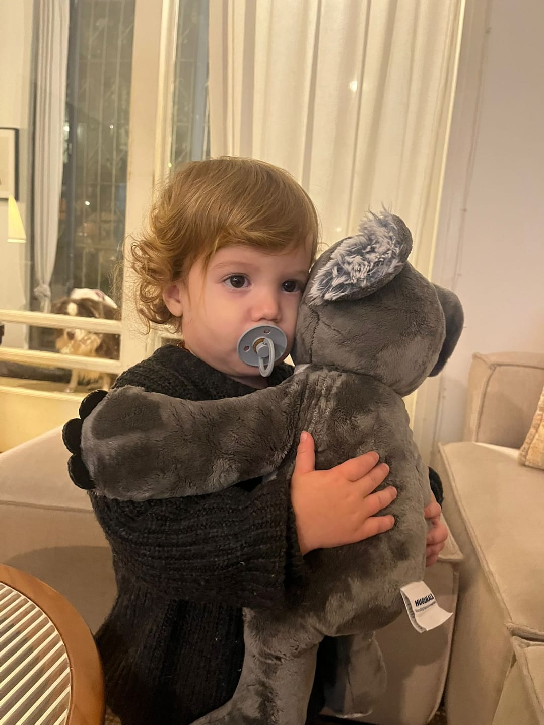 Customer photo review of Hugarounds - Sidney the Sea Turtle