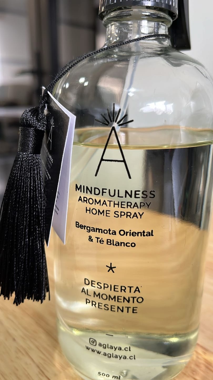Customer photo review of HomeSpray 500 ml