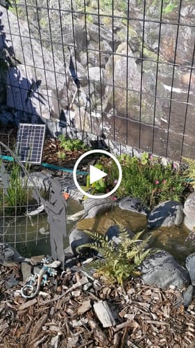 Customer video review of Gartenstecker Angler