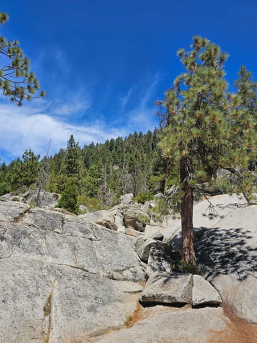 Customer photo review of Ravion® Battery Travel Case for Starlink Mini