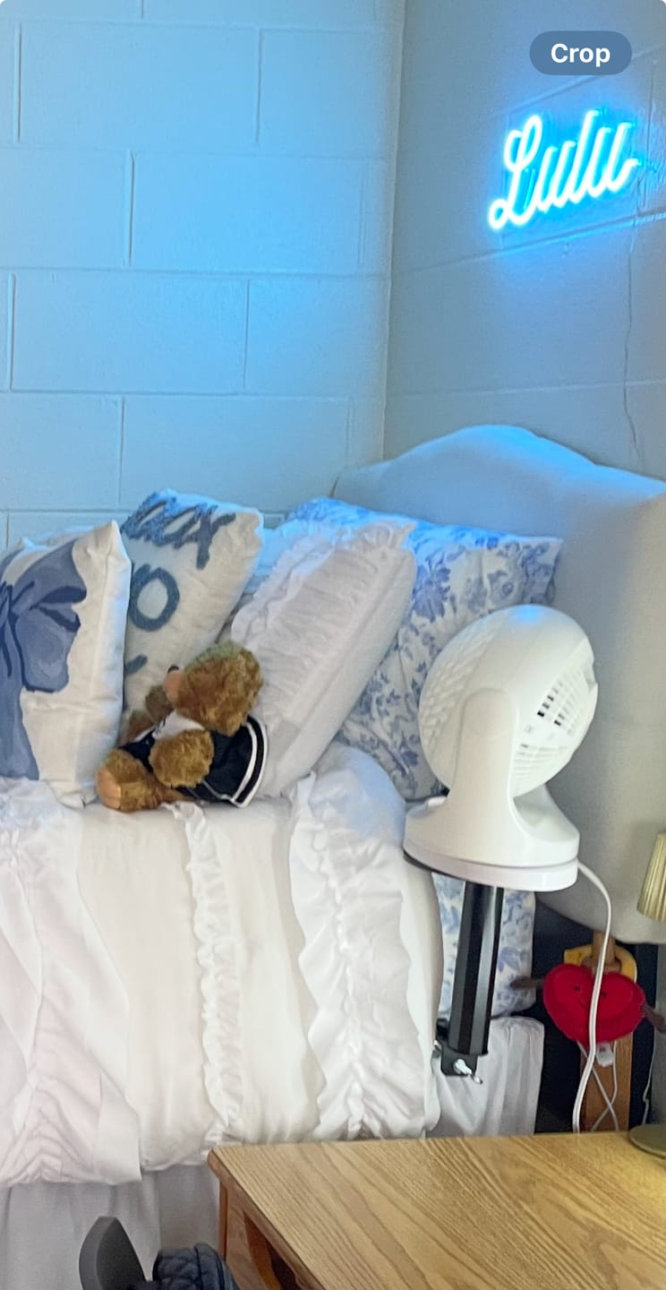 Customer photo review of FanShelfie - Fan Holder for Woozoo & Dreo Fans