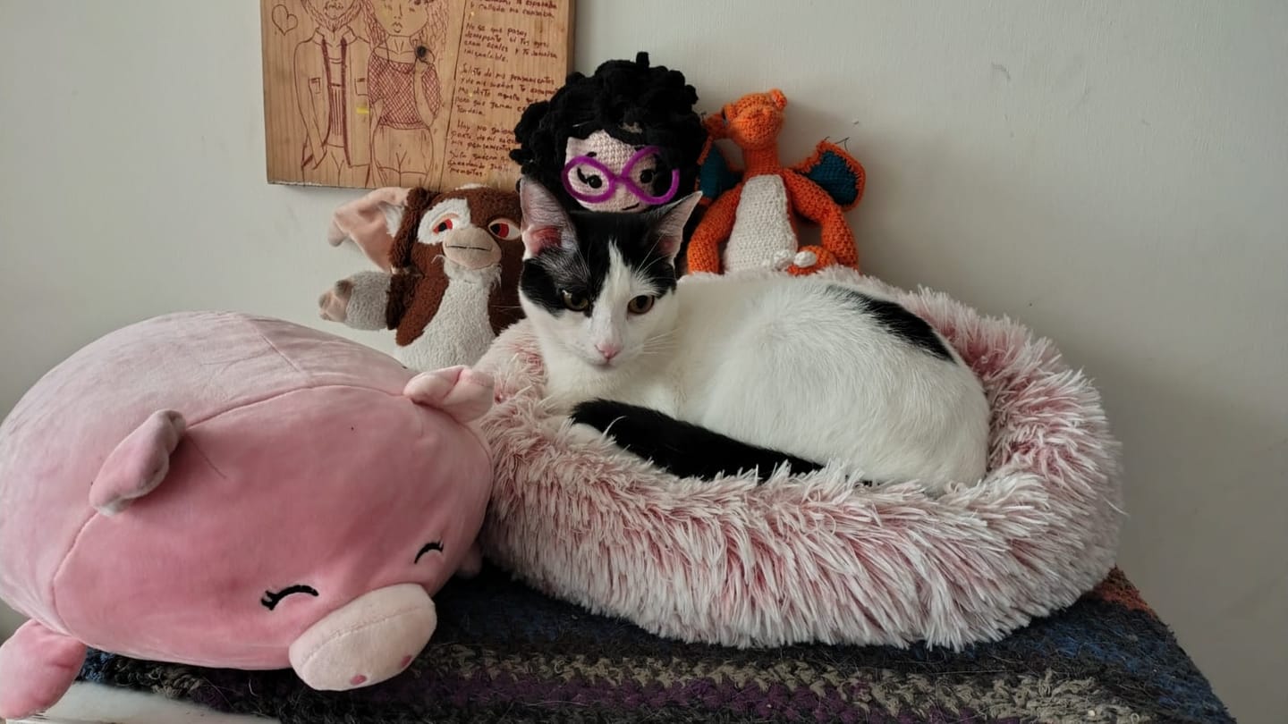 Customer photo review of Peluche Almohada Mediano Felpa De Chancho Cerdo 35 Cm