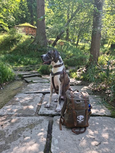 Customer photo review of Rucksack mit Patch (🌲)