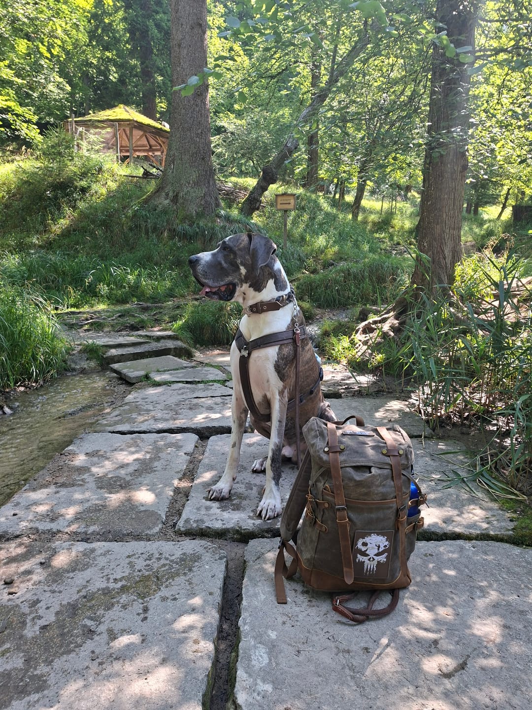 Customer photo review of Rucksack mit Patch (🌲)