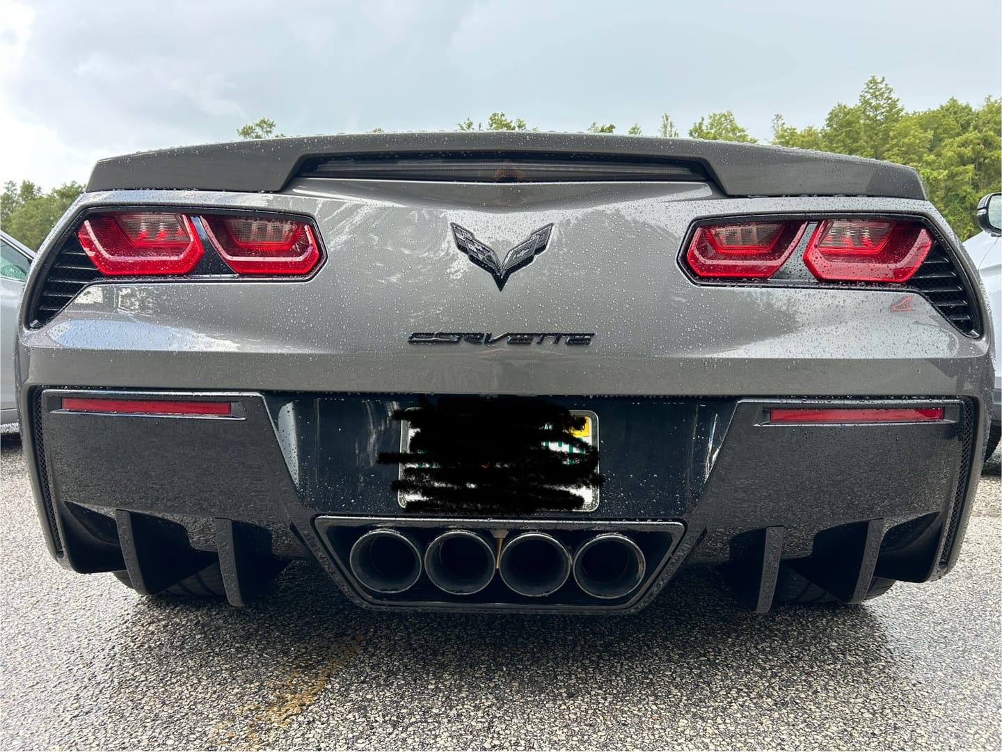 Customer photo review of Corvette C7 Rear Bumper Diffuser Fins