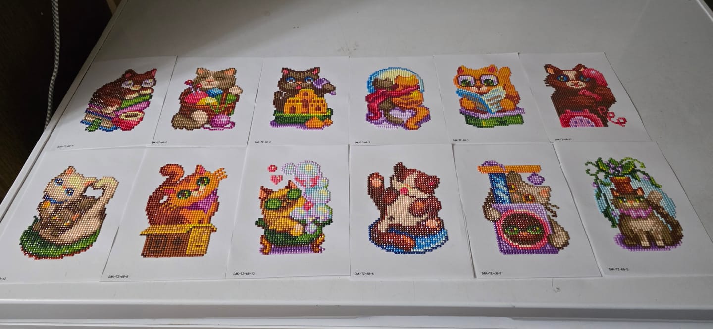 Customer photo review of Cozy Cats Set