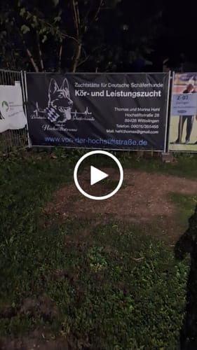 Customer video review of Bauzaunplane inkl. Druck