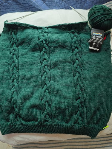 Customer photo review of MISTRAL