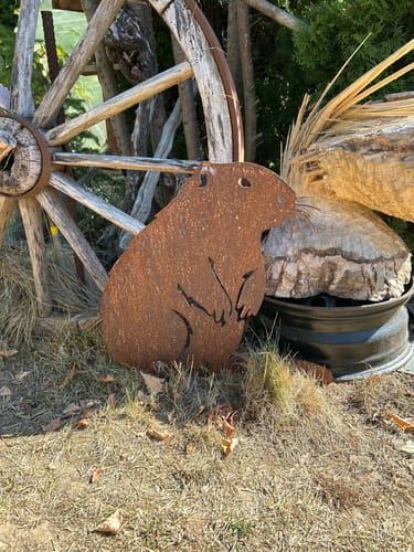 Customer photo review of Gartenstecker Biber