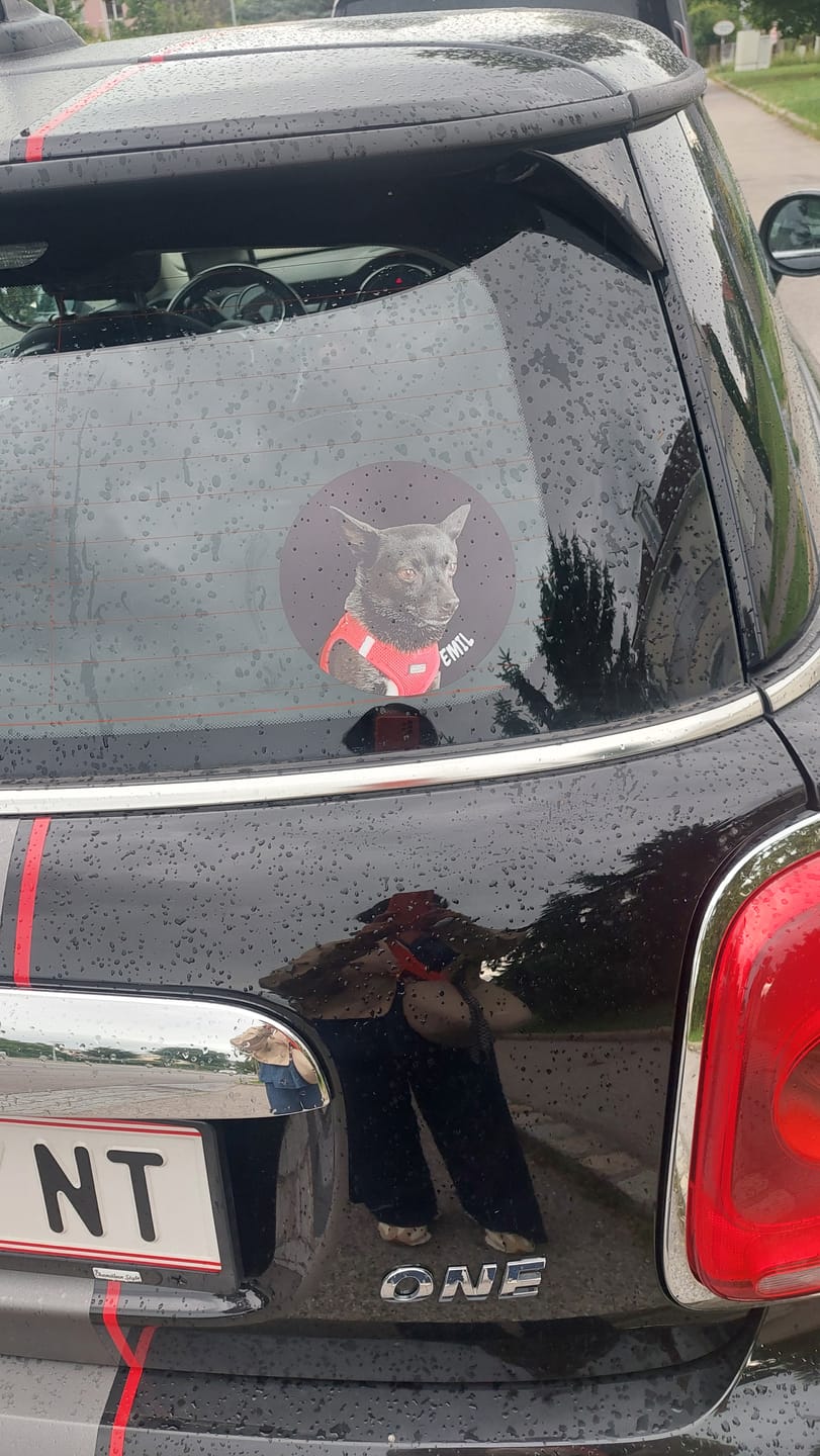 Customer photo review of Dein Foto - Individueller Autoaufkleber