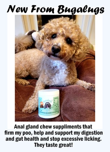 Customer photo review of Anal Gland Supplement Chews
