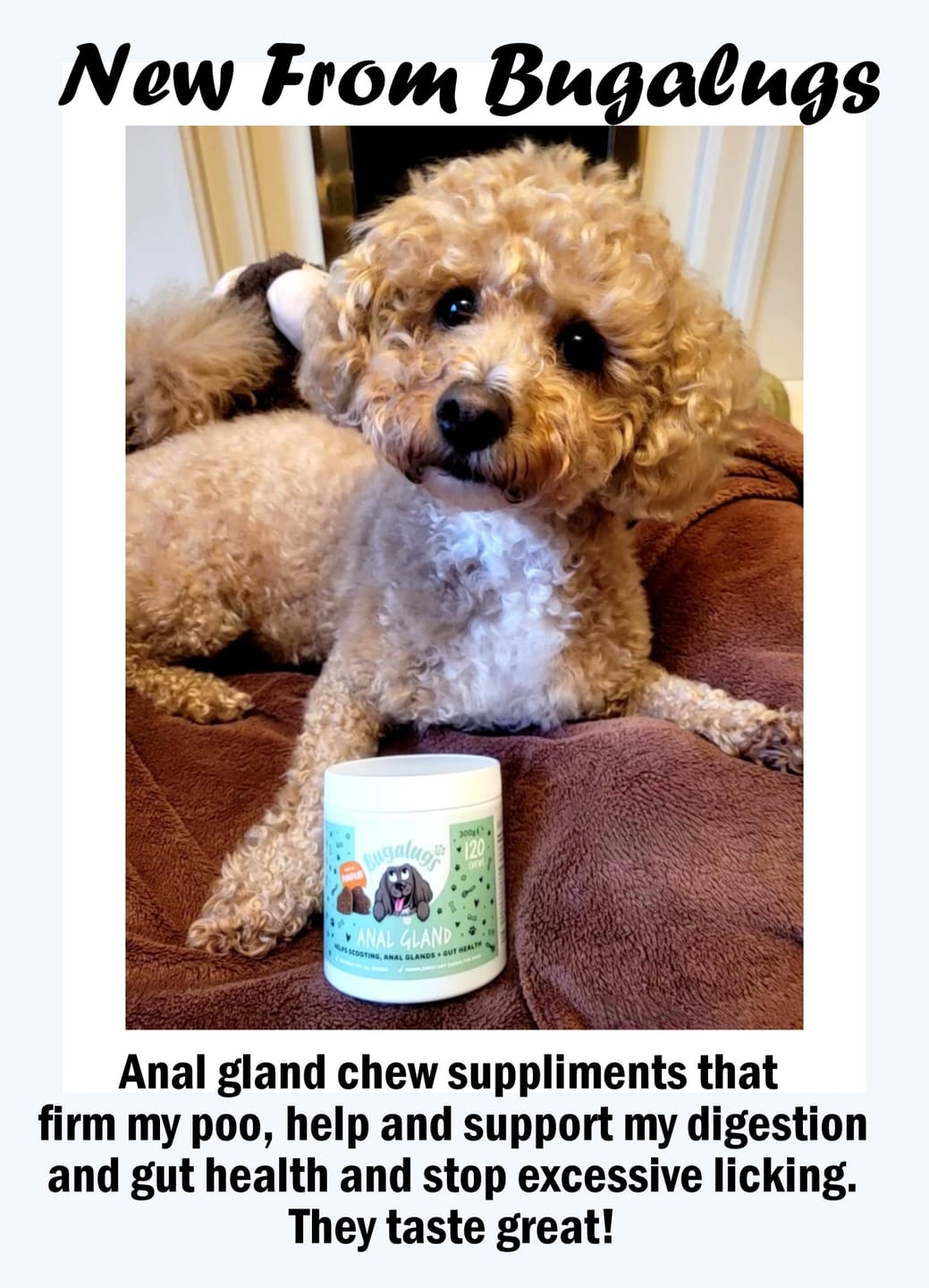 Customer photo review of Anal Gland Supplement Chews