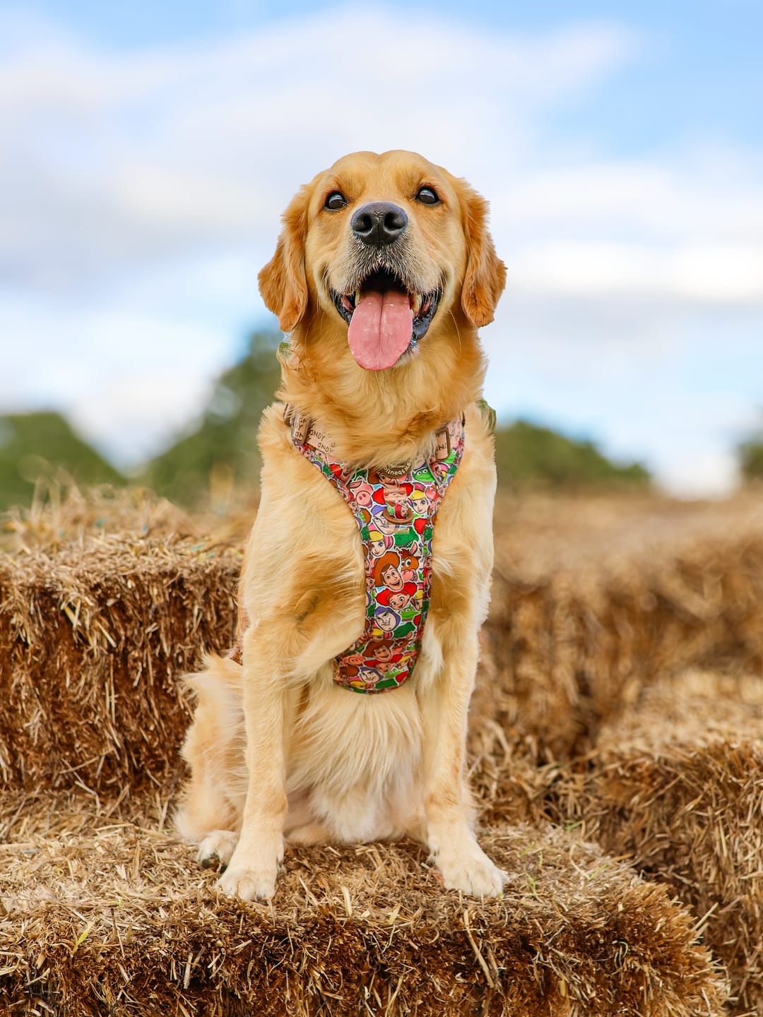 Customer photo review of Disney© Tough Trails™ Harness - Toy Story Friends