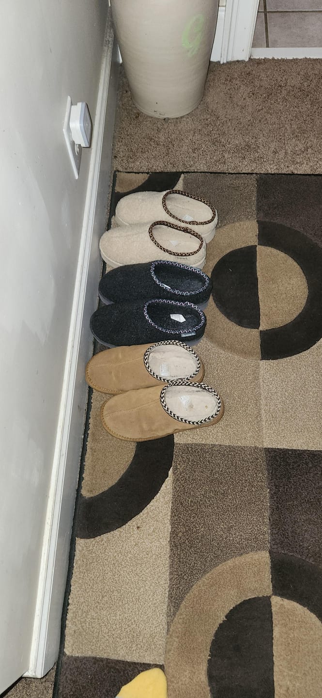 Customer photo review of SNUGGLE MARTIS OAT