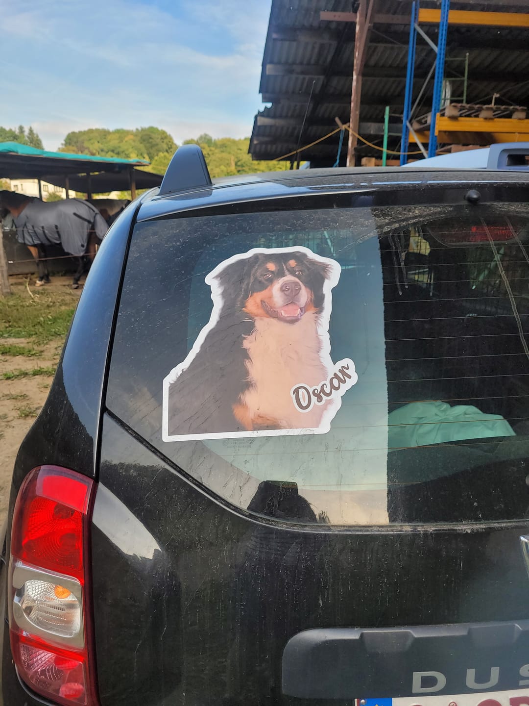 Customer photo review of Votre photo d'animal - Autocollant pour voiture personnalisé