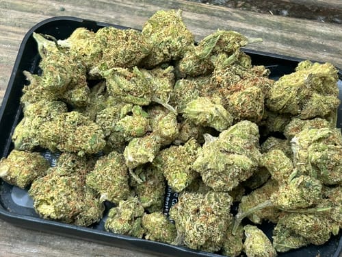 Customer photo review of Value Indoor Smalls