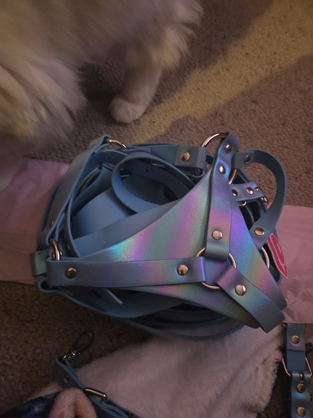 Customer photo review of ZOE LEG HARNESS