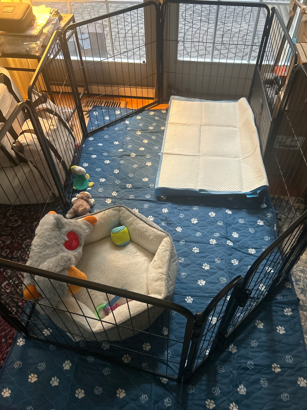 Customer photo review of Homeplus Dog Playpen for Indoor Use