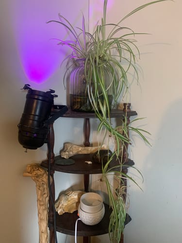 Customer photo review of Electric Wax Melter