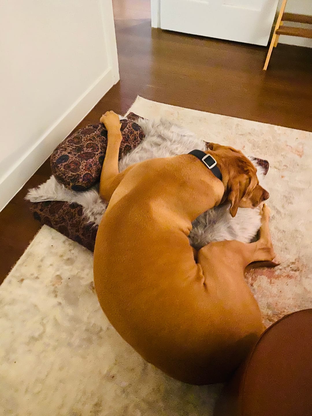 Customer photo review of Dusky Ajrakh Fig - Meditation comfort bundle